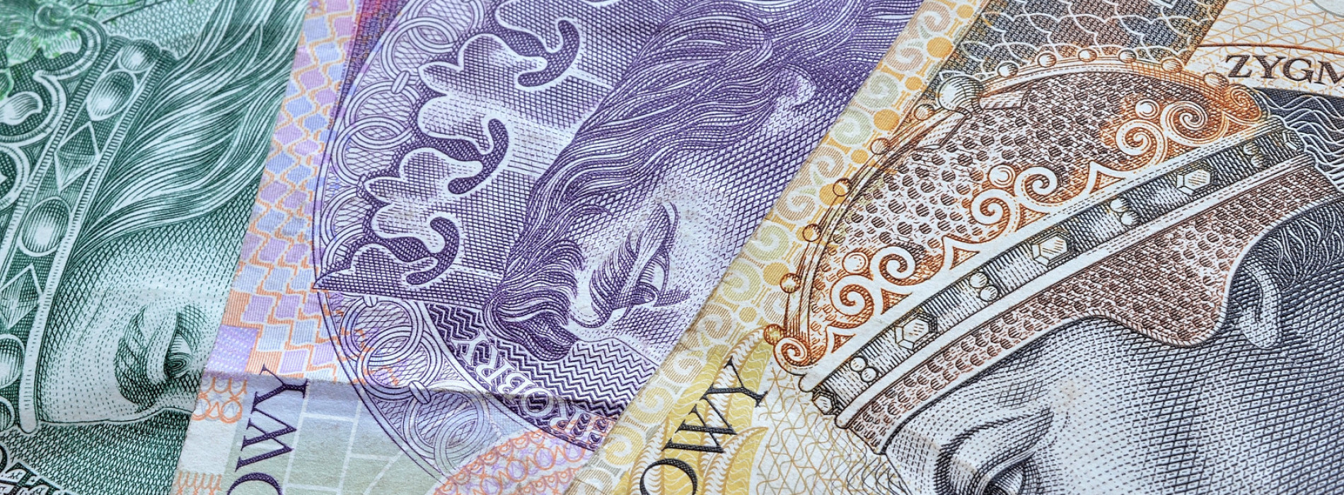 8 nowych projektów za 5 mln zł w portfelu IQ Partners