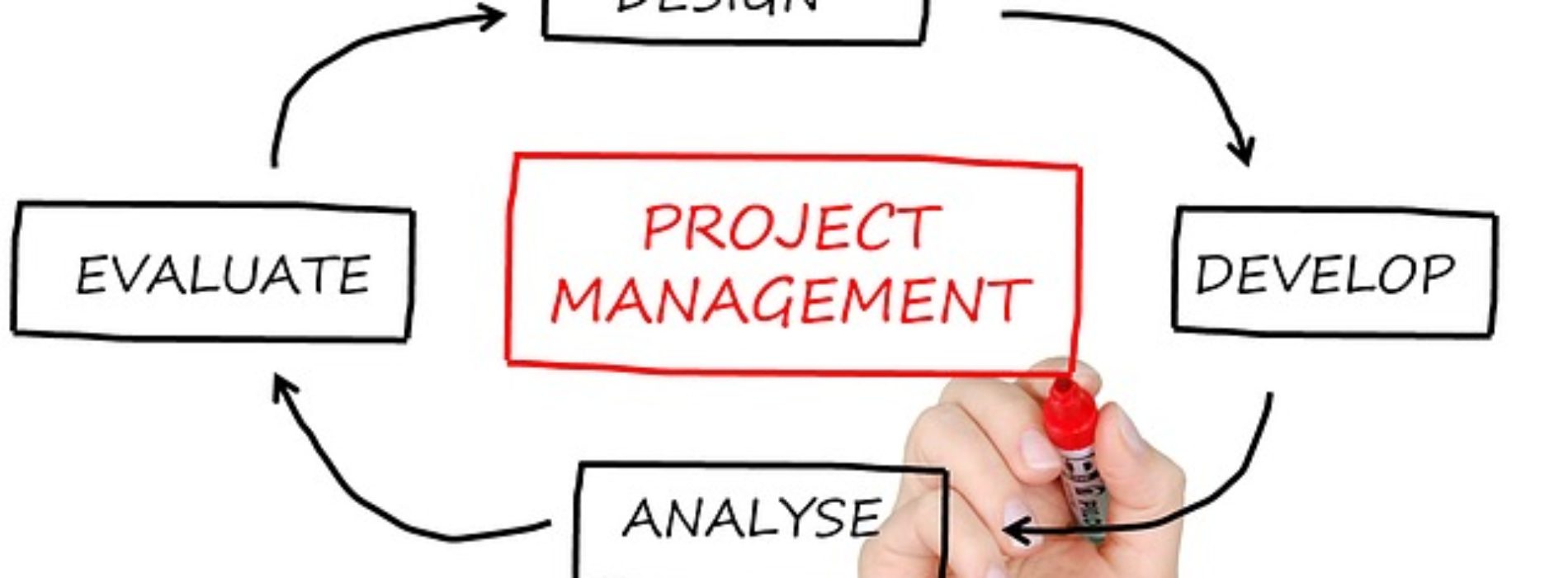 Agile Project Management – jak dobrze zarządzać projektami?