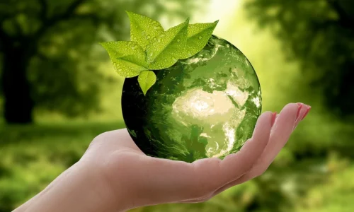 40 proc. Polaków jest za zakazem produkcji materiałów, których nie można recyklingować