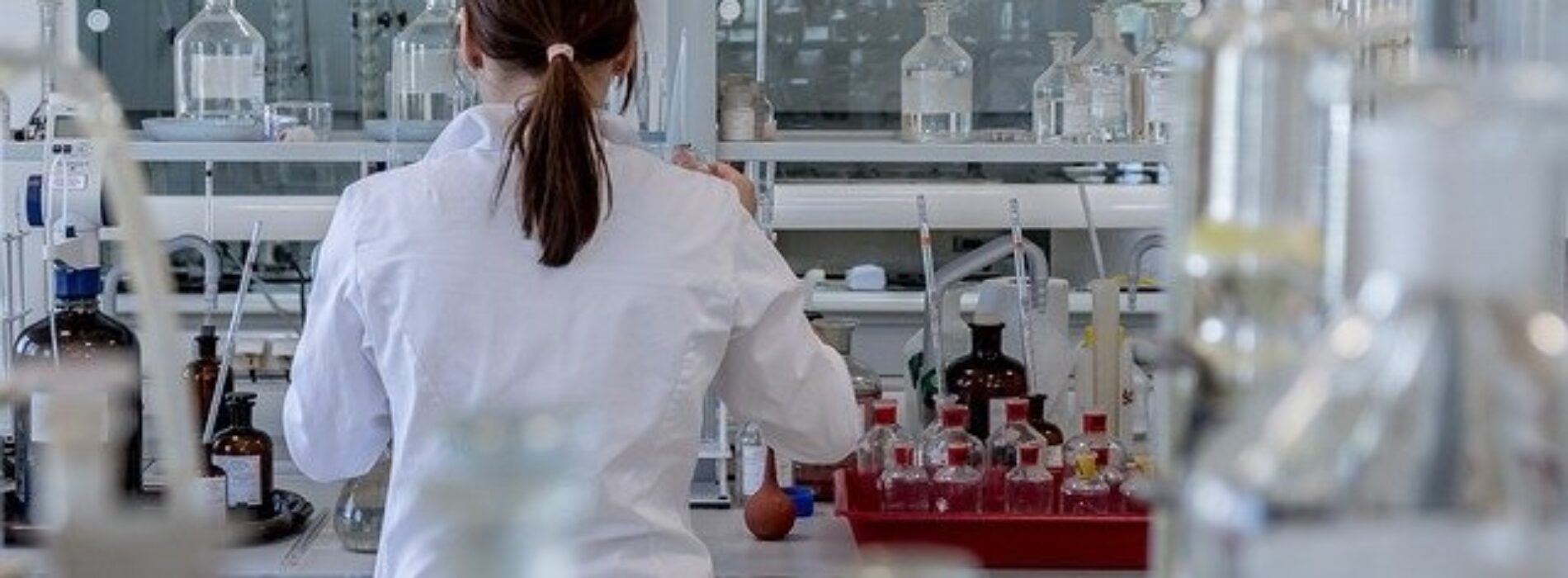 Skorzystaj ze szkoleń dla laboratoriów – zainwestuj w podniesienie jakości pracy Twojej załogi