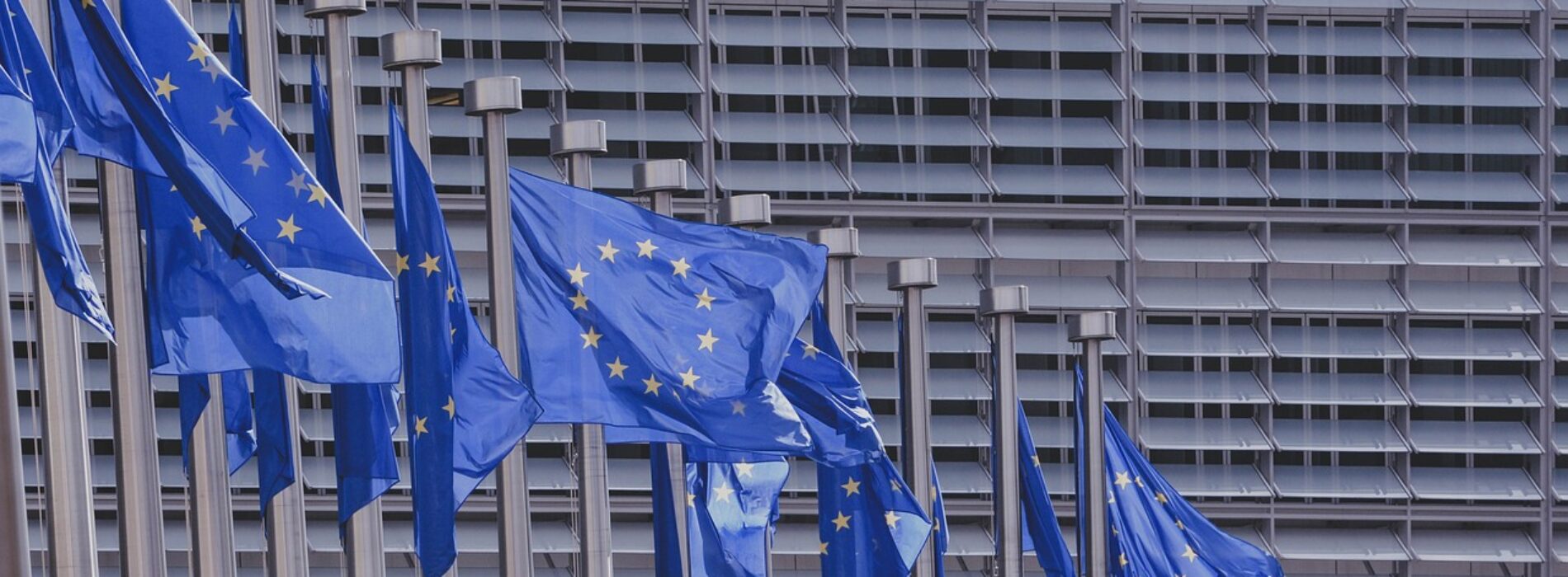 UE intensyfikuje walkę z korupcją na wspólnym rynku