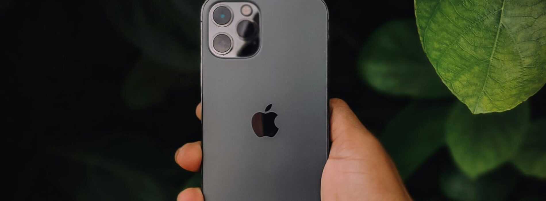 iPhone kupiony – i co dalej? Jak nie zepsuć startu z nowym smartfonem
